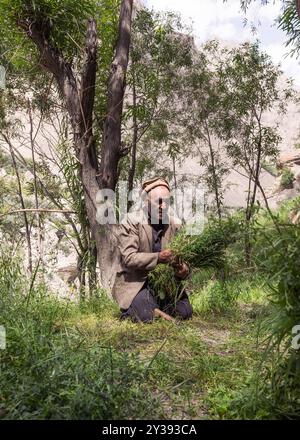 Der Bauer wird Gras aus dem Dorf Hushe sammeln Stockfoto