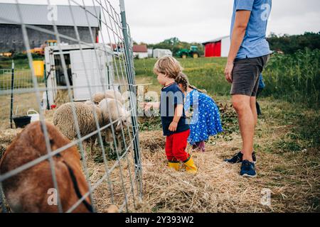 Kinder und ein Erwachsener beobachten Schafe hinter einem Zaun auf einem Bauernhof Stockfoto