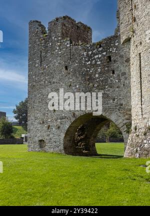 Irlands berühmtestes Schloss „Trim Castle“ an einem Sommertag Stockfoto