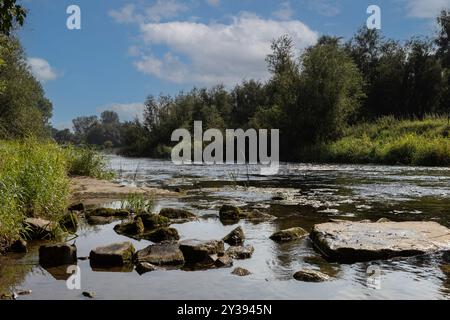 Ruhiger Fluss an Sommertagen Stockfoto