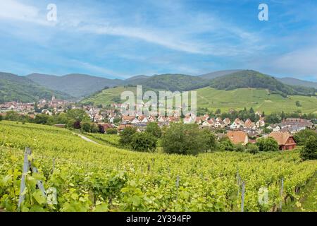 Andlau und seine Weinberge vom umliegenden Hügel aus gesehen. Elsass. Bas-Rhin Stockfoto