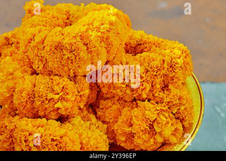 Nahaufnahme von Marigold Girlande auf Teller Stockfoto