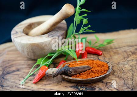 Chili-Pulver, reife Chilis und Mörtel Stockfoto