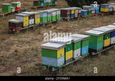 Farbenfroher Holzbienenstock im Deliblato-Sand in Vojvodina, Serbien Stockfoto