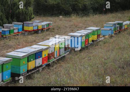 Farbenfroher Holzbienenstock im Deliblato-Sand in Vojvodina, Serbien Stockfoto