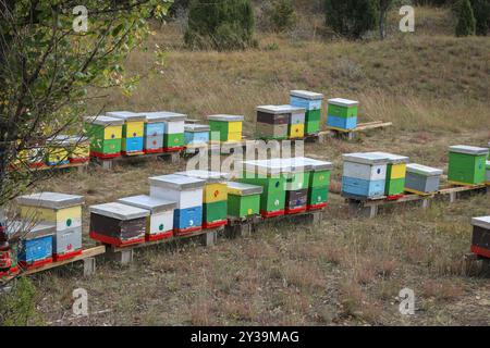 Farbenfroher Holzbienenstock im Deliblato-Sand in Vojvodina, Serbien Stockfoto