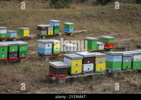 Farbenfroher Holzbienenstock im Deliblato-Sand in Vojvodina, Serbien Stockfoto