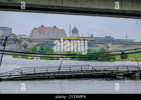 13.09.2024. Abrissarbeiten am Brückenzug der Carolabrücke in Dresden. Am Mittwoch 11.09.2024 um 2,59 Uhr stürzte ein Teil der Carolabrücke in Dresden ein. *** 13 09 2024 Abbrucharbeiten an der Carolabrücke-Brücke in Dresden ein Teil der Carolabrücke-Brücke in Dresden brach am Mittwoch 11 09 2024 um 59 Uhr zusammen Stockfoto