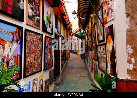 Fes, Marokko. Der Souk bietet Kunsthandwerk und typische Produkte Stockfoto