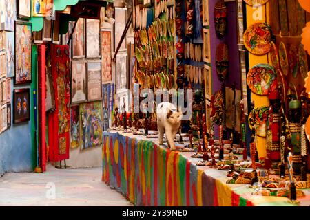 Fes, Marokko. Der Souk bietet Kunsthandwerk und typische Produkte Stockfoto