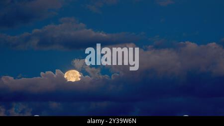 Hellgelber Vollmond, der von weißen und blauen Wolkenlinien darunter aufsteigt. Stockfoto