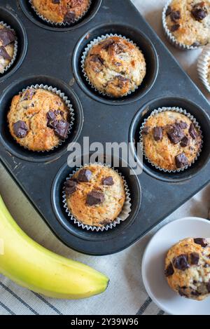 Frisch gebackene Bananen-Haferflocken-Pekannüsse und Schokoladen-Muffins Stockfoto