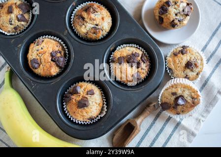 Frisch gebackene Bananen-Haferflocken-Pekannüsse und Schokoladen-Muffins Stockfoto