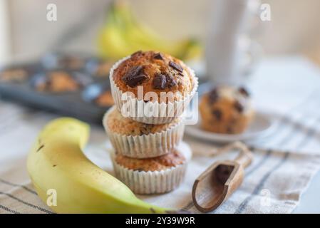 Frisch gebackene Bananen-Haferflocken-Pekannüsse und Schokoladen-Muffins Stockfoto