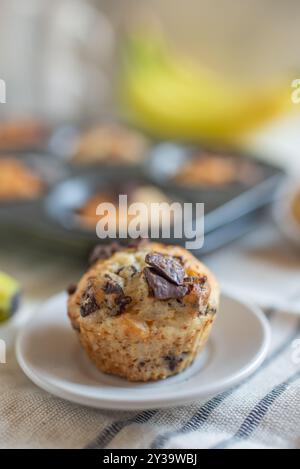 Frisch gebackene Bananen-Haferflocken-Pekannüsse und Schokoladen-Muffins Stockfoto