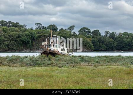 Cannis, ein Thames Tug-Boot, das früher von London & Rochester Trading Co verfiel und auf dem River Torridge verfiel Stockfoto