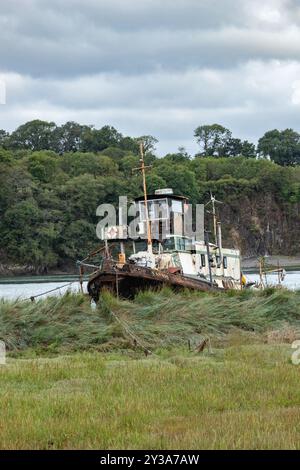 Cannis, ein Thames Tug-Boot, das früher von London & Rochester Trading Co verfiel und auf dem River Torridge verfiel Stockfoto