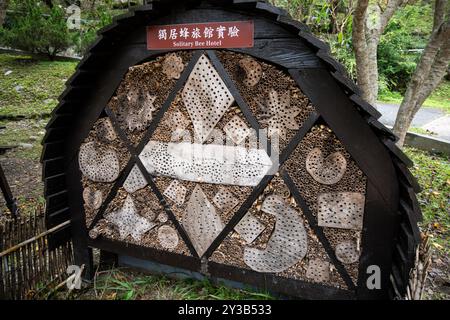 Solitary Bee Hotel in Natural Woodland im Taroko Nationalpark in Taiwan Stockfoto