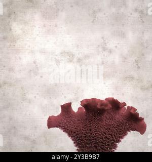 Stilvoller quadratischer strukturierter alter Papierhintergrund mit rotem Blütenstand von Celosia argentea var. Cristata, Hahnenwabe Stockfoto