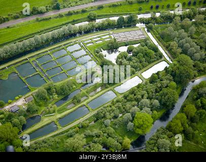 Hochwinkelaufnahme einer Fischfarm mit mehreren Teichen und einer üppigen, grünen Landschaft um sie herum, die Aquakulturanlagen hervorhebt. Stockfoto