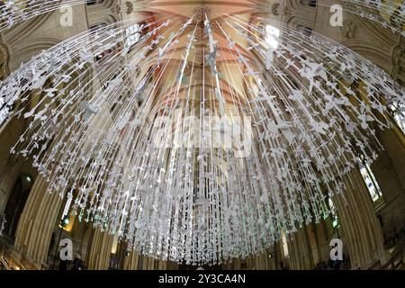 Fisheye, Innenansicht, Friedentauben, Wells Cathedral, Wells, England, Großbritannien Stockfoto