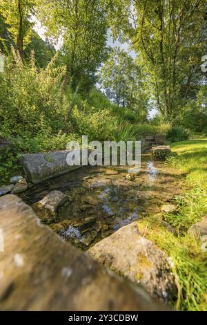 Kleiner Bach umgeben von üppiger Vegetation und Steinen in einem Waldgebiet, Nagold, Schwarzwald, Deutschland, Europa Stockfoto