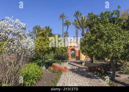 Jardines del Alcazar, Gärten mit Palmen im Alcazar, Königspalast von Sevilla, Sevilla, Spanien, Europa Stockfoto