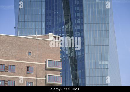 Europäische Zentralbank EZB, Hauptgebäude, Hauptsitz, Sonnemannstraße, Ostende, Frankfurt am Main, Hessen, Deutschland, Europa Stockfoto