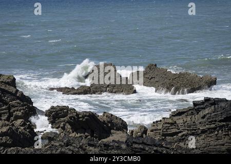 Warren Beach, Küstenlandschaft, Hartland Quay, Stoke, Hartland, England, Großbritannien Stockfoto