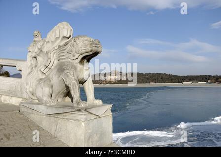 Löwenskulptur im Sommerpalast, Peking, China, Asien Stockfoto