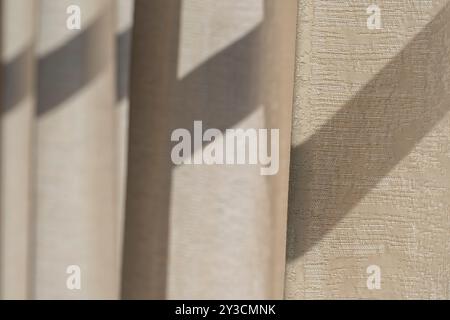 Sunlit Yellow and Brown Gardines: Eine Studie über Muster und Textur. Stockfoto