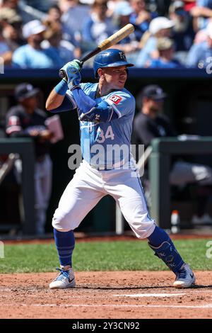 Kansas City, MO, USA. September 2024. Freddy Fermin (34) schlägt im Kauffman Stadium in Kansas City gegen die Minnesota Twins. David Smith/CSM/Alamy Live News Stockfoto