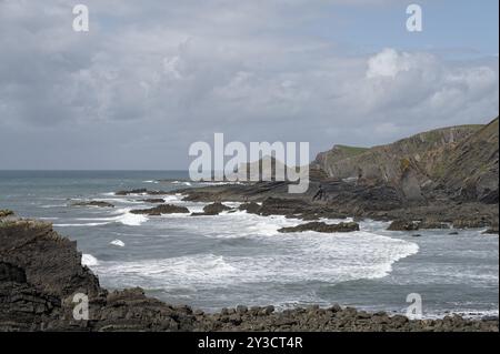 Warren Beach, Küstenlandschaft, Hartland Quay, Hartland, England, Großbritannien Stockfoto