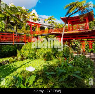 Monte Palace tropischer Garten mit roter Pagode, Seen und traditionellen Gebäuden über der Stadt Funchal, beliebtes Touristenziel auf Madeira Insel Stockfoto