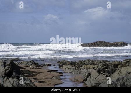 Warren Beach, Küstenlandschaft, Hartland Quay, Blagberry, Hartland, England, Großbritannien Stockfoto