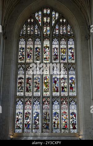 Innenansicht, Buntglasfenster, Bath Abbey, Bath, England, Großbritannien Stockfoto