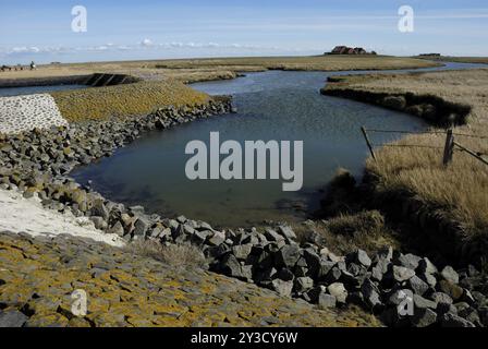 Wasserlauf auf der Hallig Langeness, Schleswig-Holstein, Deutschland, Europa Stockfoto