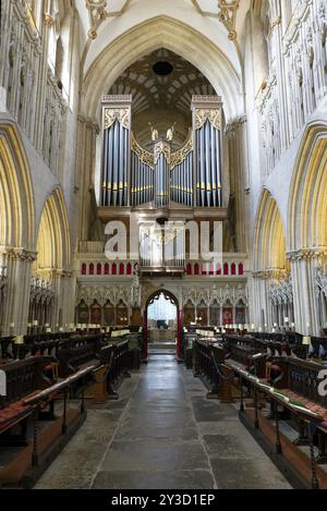 Innenansicht, Orgel, Chorbuden, Wells Cathedral, Wells, England, Großbritannien Stockfoto