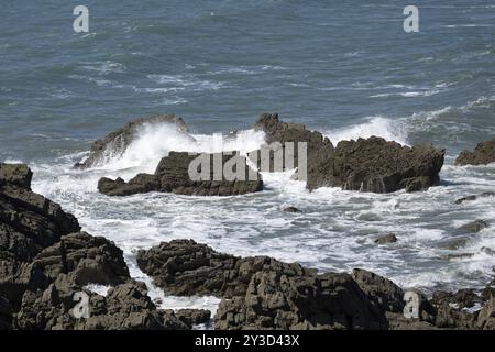 Warren Beach, Küstenlandschaft, Hartland Quay, Stoke, Hartland, England, Großbritannien Stockfoto