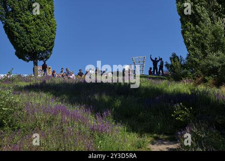 Deutschland, Berlin, 09.06.2024, Sonntagnachmittag im Mauerpark, Besucher am Hang, Blumenmeer, Europa Stockfoto