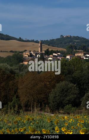 IL campanile del paese di Schieti tra la vegetazione Stockfoto