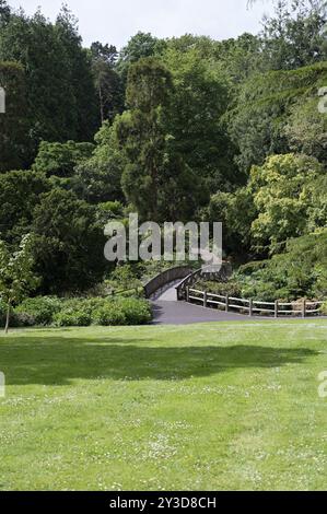 Bridge, Carcaddon, Trelissick Garden, Coombe, Truro, England, Großbritannien Stockfoto