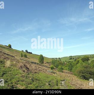 Hügelige grüne Felder mit grasbewachsener Weide und alten Bauernhäusern aus Stein in den yorkshire dales bei Crimsworth in der Nähe der hardcastle Felswände Stockfoto