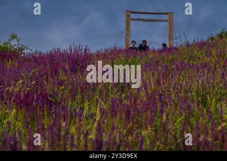 Deutschland, Berlin, 02.06.2024, Sonntagnachmittag im Mauerpark, Besucher im Blumenmeer, Europa Stockfoto