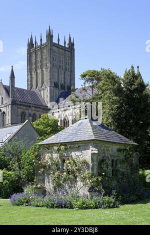 Wells Cathedral, The Wells Garden, Bishops Palace, Wells, England, Großbritannien Stockfoto