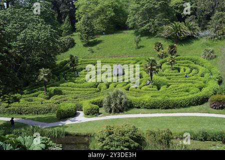 Labyrinth, Glendurgan Garden, Falmouth, England, Großbritannien Stockfoto