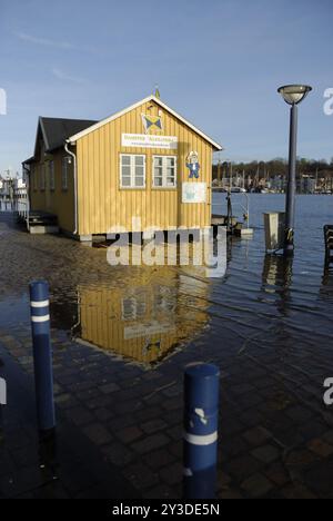 Hochwasser am 06.01.2012, Flensburg, Schleswig-Holstein, Deutschland, Europa Stockfoto