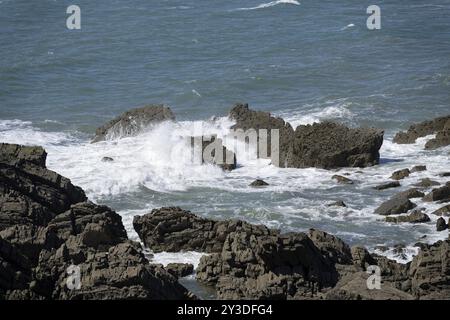 Warren Beach, Küstenlandschaft, Hartland Quay, Stoke, Hartland, England, Großbritannien Stockfoto