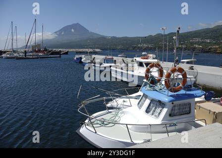 Hafen in Lajes do Pico, Pico Stockfoto