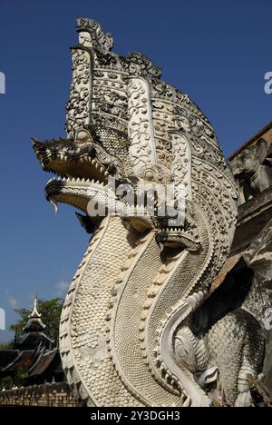 Naga in Wat Chedi Luang, Chiang Mai, Thailand, Asien Stockfoto